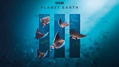 Planet Earth III Episode 2 Ocean - Everything you need to know