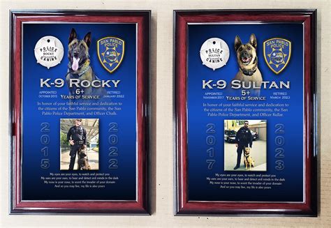 K9 Projects From Badge Frame