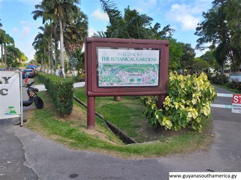 The Botanical Gardens – Georgetown – Photos of Guyana