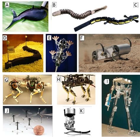 Example of biorobots. (A) RoboTuna ( 35 ). (B) Lamprey robot ( 39 ).... | Download Scientific ...