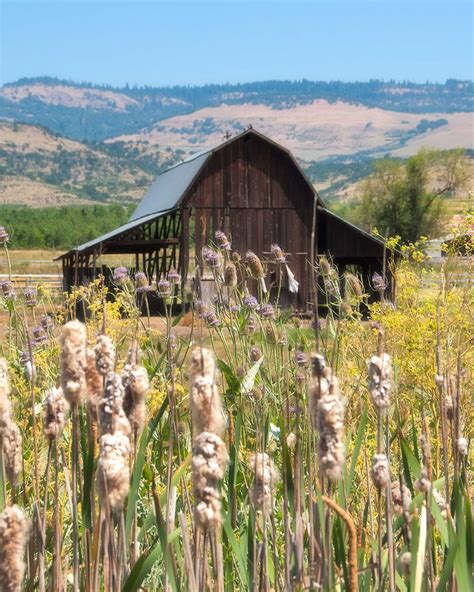 Hay Barn with Flowers and Grass - Roadside Gallery