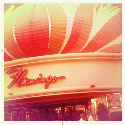 the flamingo in las vegas : hunter s. thompson, fear and loathing in las vegas | literature at ...