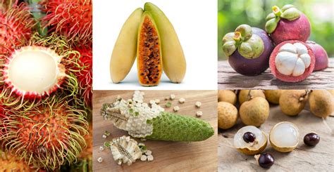 5 Exotic Fruits You Need to Try