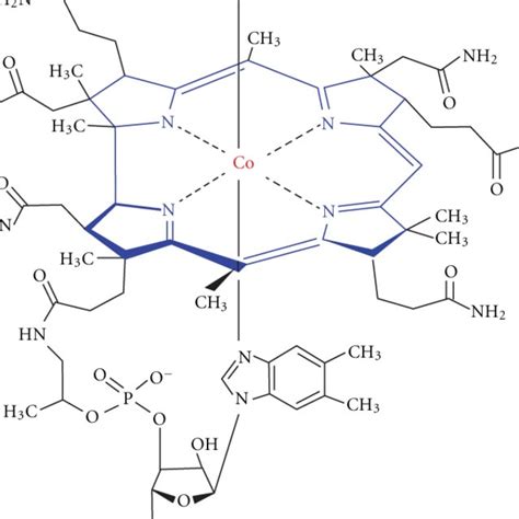 Structure of cobalamin. | Download Scientific Diagram