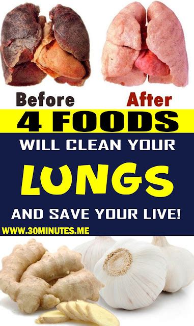 4 FOODS THAT WILL CLEAN YOUR LUNGS AND SAVE YOUR LIFE! - HEALTH and WELLNESS