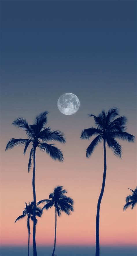 Cute Moon Wallpapers - Top Free Cute Moon Backgrounds - WallpaperAccess