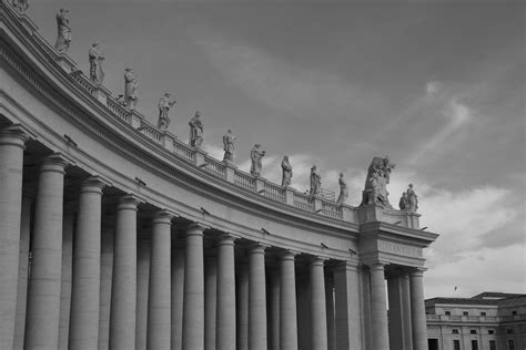 nature, city, old, ornate, outdoors, seagull, St PeterS Square, sky ...