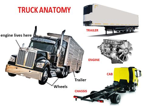 Truck Anatomy | Car Anatomy