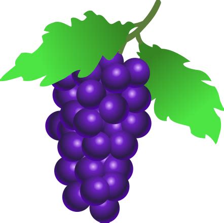 Purple Grapes Clip Art Image - ClipSafari