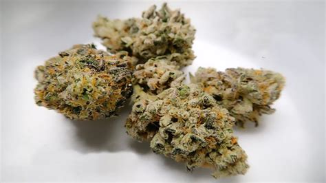 LA Kush Cake Strain Information, Effects & Review - Rolling Paper