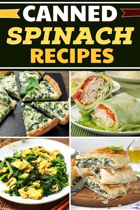 23 Best Canned Spinach Recipes to Make Today - Insanely Good