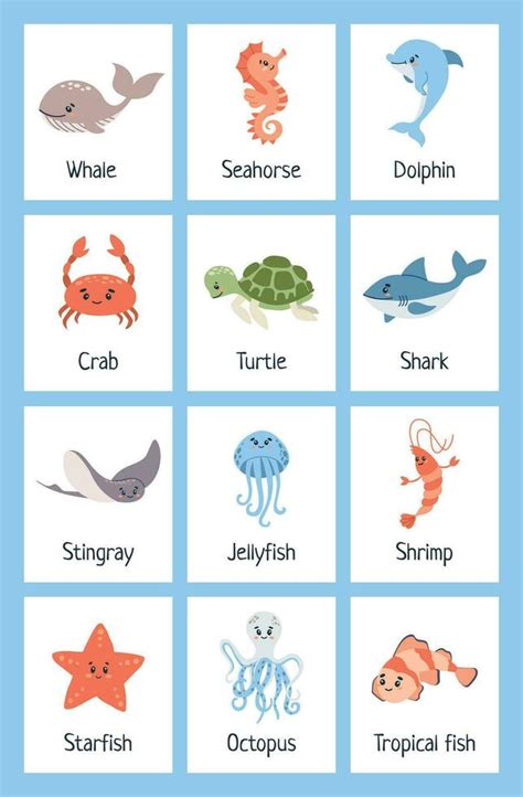 Sea animal flashcards. Learning ocean vocabulary. Sea creatures ...