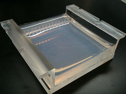 Agarose - Wikipedia