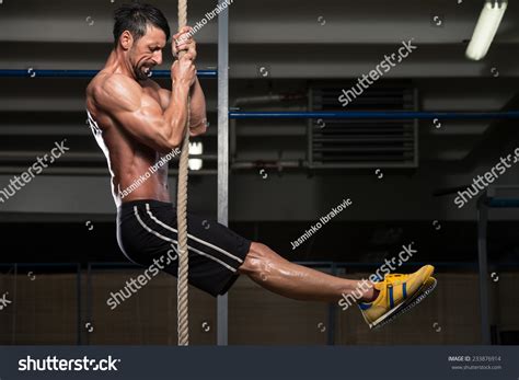 Fitness Rope Climb Exercise Fitness Gym Stock Photo 233876914 | Shutterstock