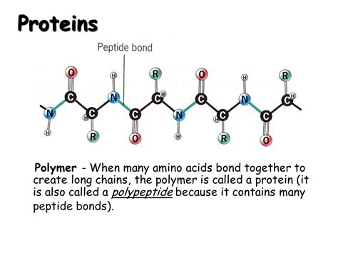 Polymers - Presentation Chemistry