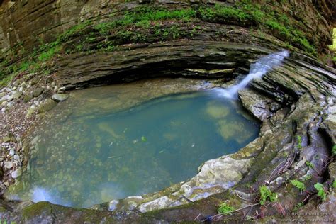 Pin on Amazing Arkansas