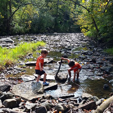 Waterfall Glen Forest Preserve | Great Hikes Chicago