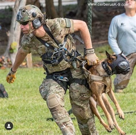 best way to mount dog to chest rig? : r/tacticalgear