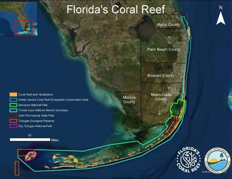 Florida’s Coral Reef: An Underwater National Treasure - The Fishing Wire