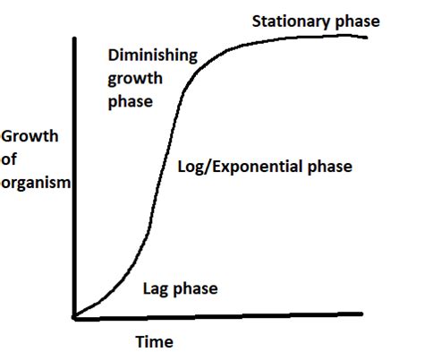 Sigmoid Population Growth Curve