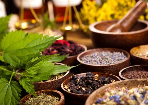 6 Amazing Health Benefits of Ayurveda and Herbal Remedies