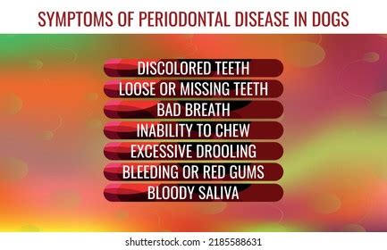 Symptoms Periodontal Disease Dogs Vector Illustration Stock Vector ...