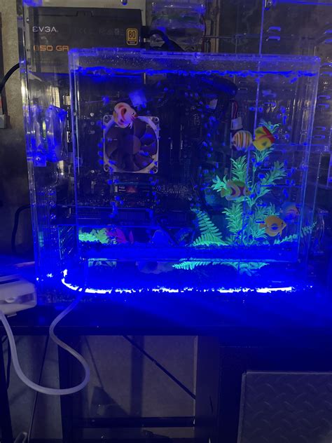 Finally finished my fish tank build : r/pcmasterrace