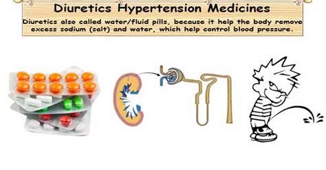 Thiazides Diuretics, Loop Diuretics & Potassium-Sparing Diuretics