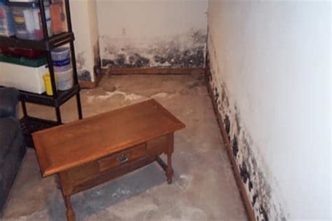 Basement Mold Removal Experts - Wing Three Madison, WI