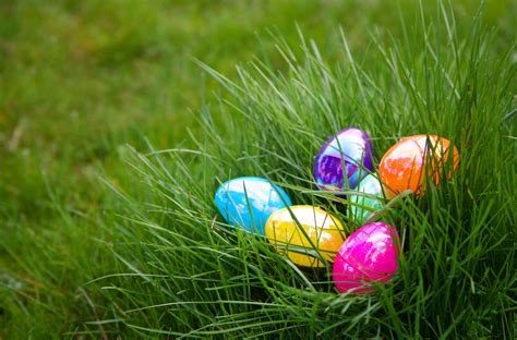 The Great Easter Egg Hunt Song