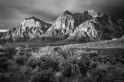 Red Rock Canyon Sunrise B&W | Red Rock Canyon, Nevada | Mountain Photography by Jack Brauer