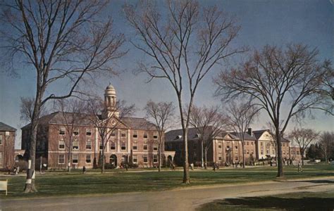 University of Maine Orono, ME Bill Bardsley Postcard