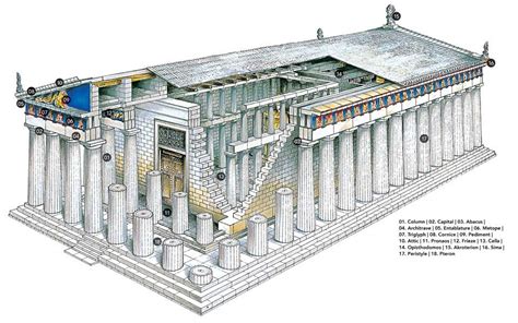 Parthenon Columns Dimensions