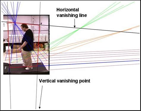 (a) Vertical vanishing point and horizontal vanishing line estimation ...