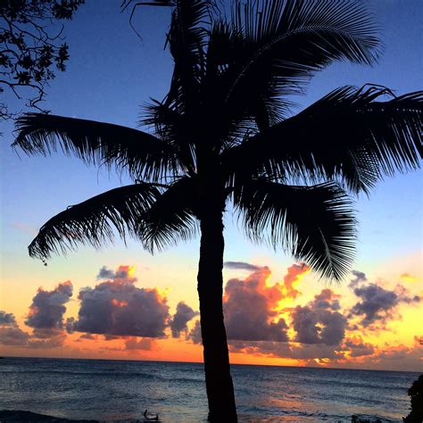 Turtle Bay sunsets in oahu | Sunset, Turtle bay, Oahu