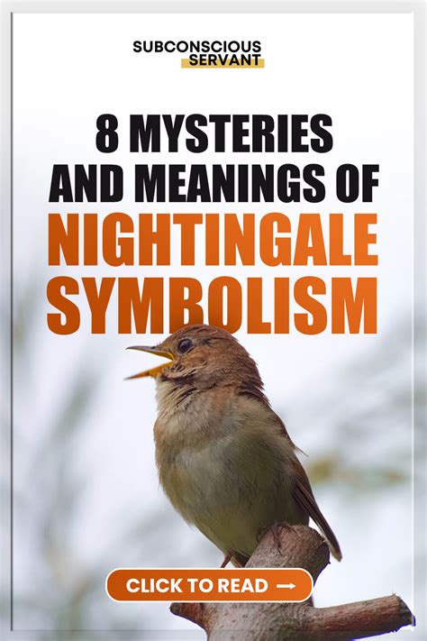 Nightingale Symbolism: 8 Fascinating Meanings Explored