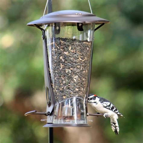 Squirrel Resistant X2 Feeder | Bird feeders, Squirrel proof bird feeder ...