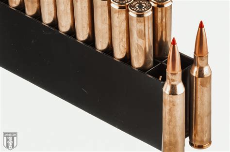 300 Norma vs 338 Lapua - Caliber Comparison by Ammo.com