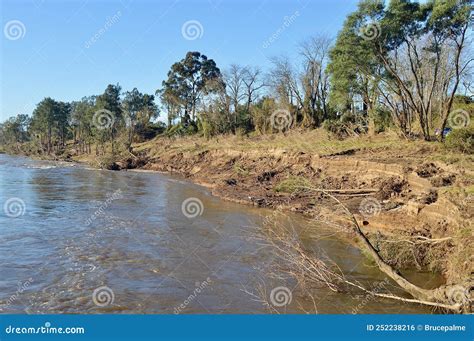 Trees Damaged and Uprooted by the Australian Floods at Yarramundi Stock ...