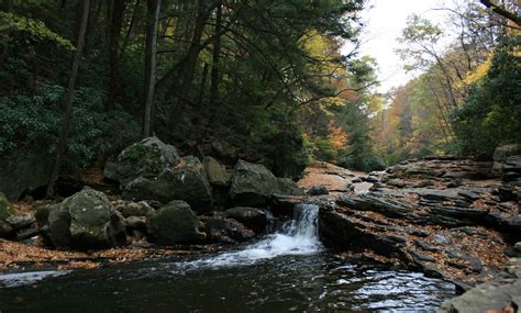 Camping in Pennsylvania: 50+ Best Places to Camp