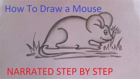 Learn how to draw a mouse step by step | Drawings, Teaching drawing, Drawing videos
