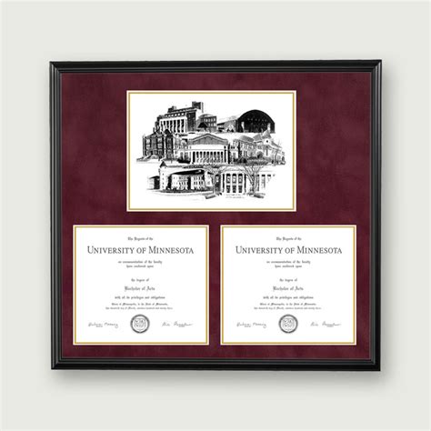 Alumni Artwork | Double Diploma Frame