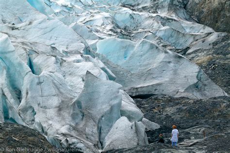 Exit Glacier | Photos by Ron Niebrugge