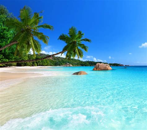 Tropical Beach | Beautiful beaches paradise, Beach wallpaper, Vacation spots