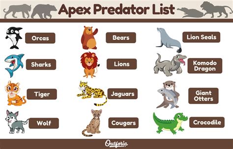 Apex Predator List: The Top 12 Predators At The Top of the Food Chain