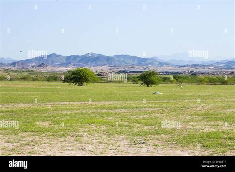 saudi arabia desert landscape Stock Photo - Alamy