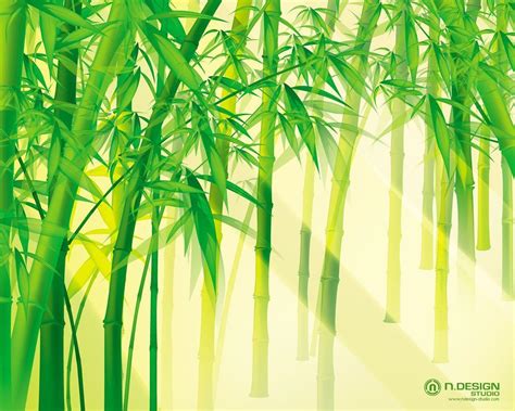 Green Bamboo Wallpapers - Wallpaper Cave