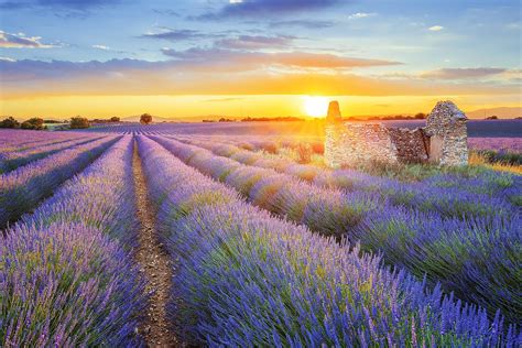 The 15 Best Towns in Provence, France – Fodor's Travel Guide