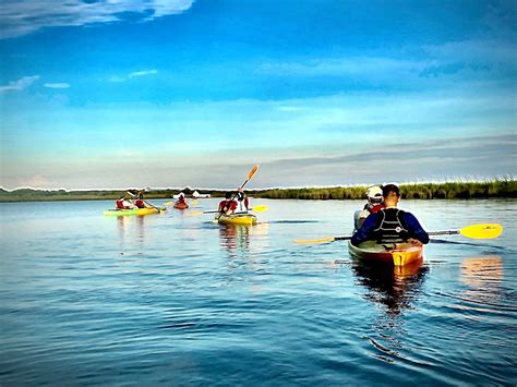 Pine-Island-Audubon-Sanctuary-Kayak-4 | Outer Banks Kayak Tours