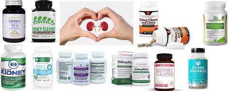 supplements for kidney disease Kidney disease supplements chronic ...